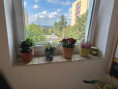 /album/fotogalerie-ucebna/img-3280-jpeg/